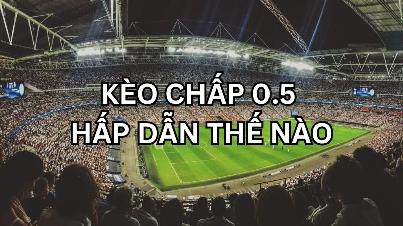 keo-chap-0.5-hap-dan-the-nao